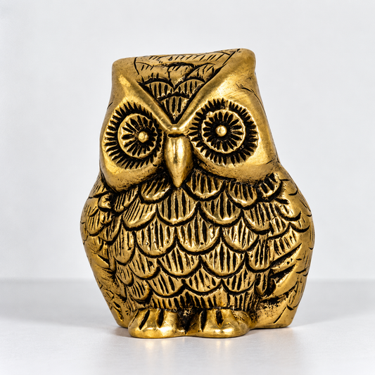 Sacred Owl