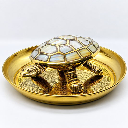 Lakshmi Turtle